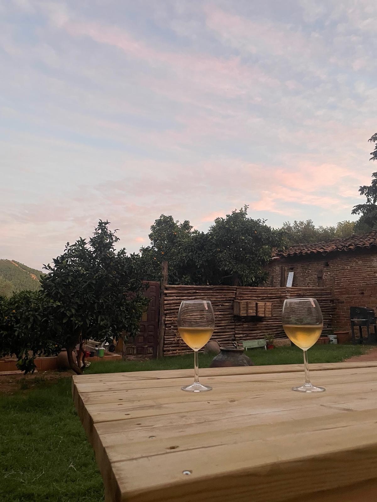 WhatsApp Image 2025-11-30 at 20.32.49 (1)